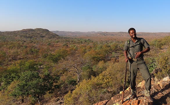 stories and publications